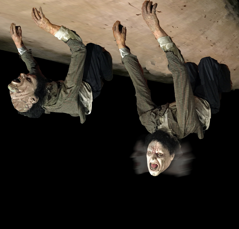 Ceiling Dweller Freak