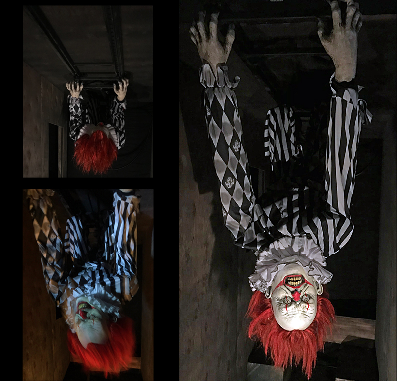 Ceiling Dweller Clown Flyer