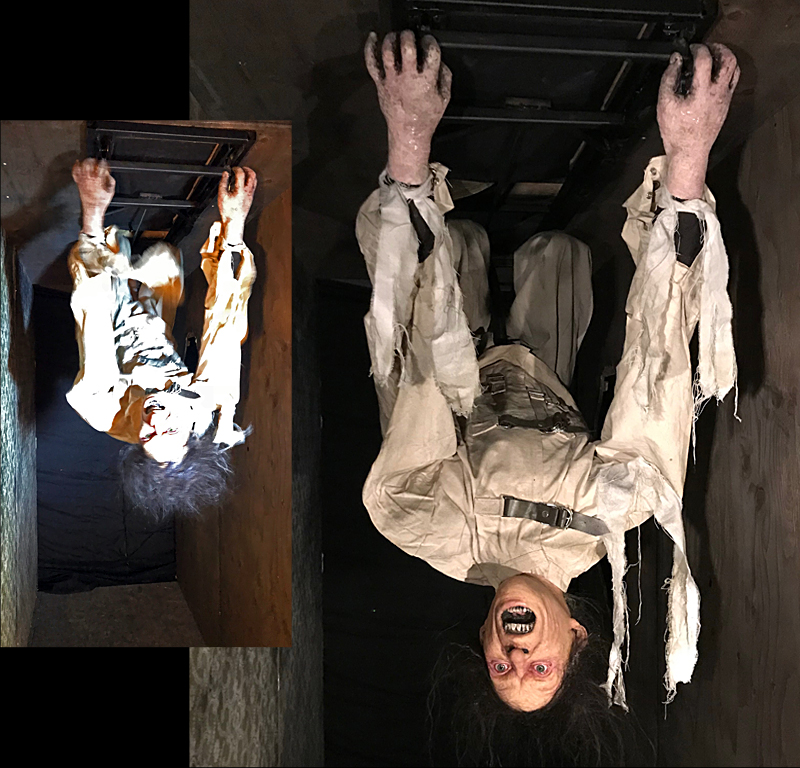 Ceiling Dweller Flyer