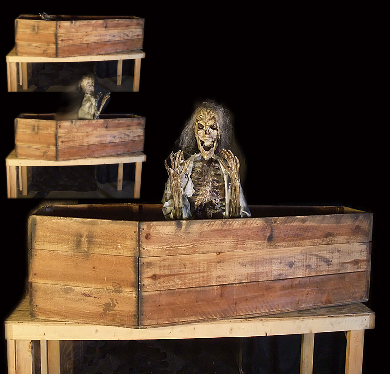 Coffin Skelly Sit Up