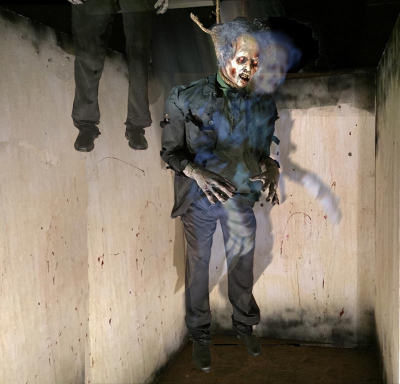 Dropping Hangman Thrasher