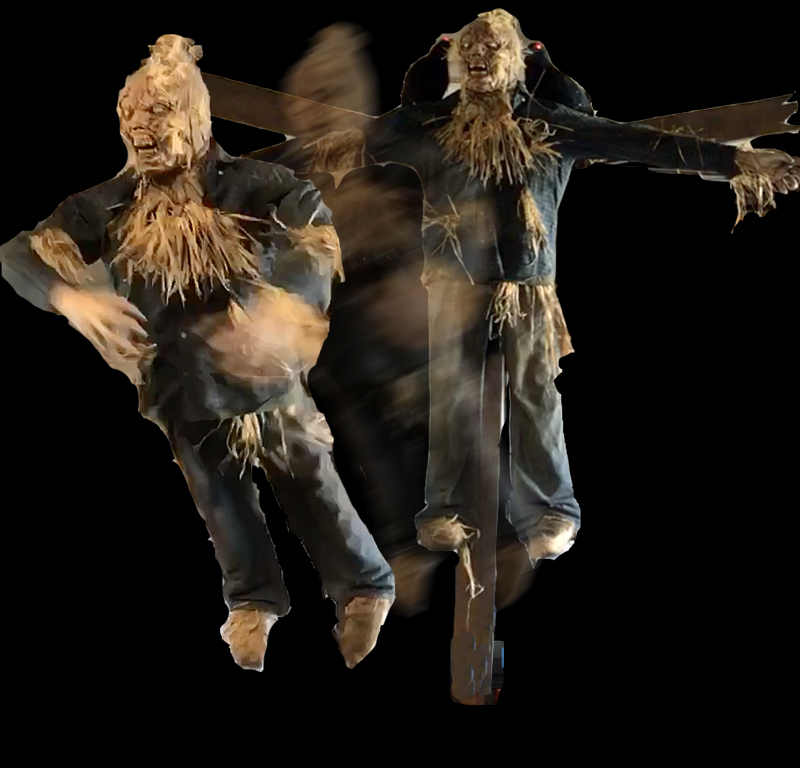 Scarecrow Flyer 2.0