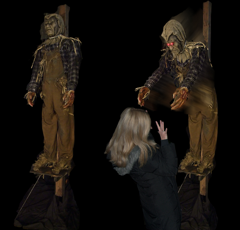 Scarecrow Reacher