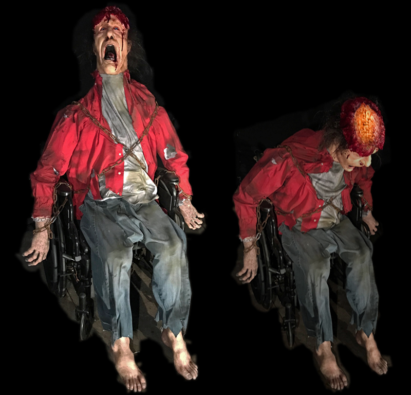 Wheelchair Bound Male