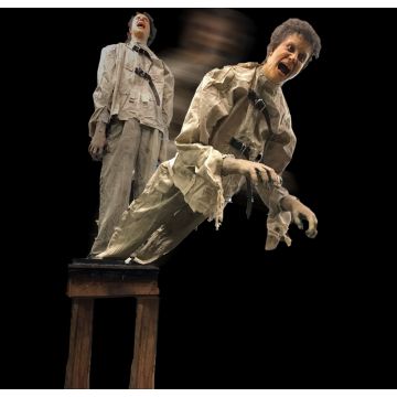 Asylum Body Drop-ABD1045
