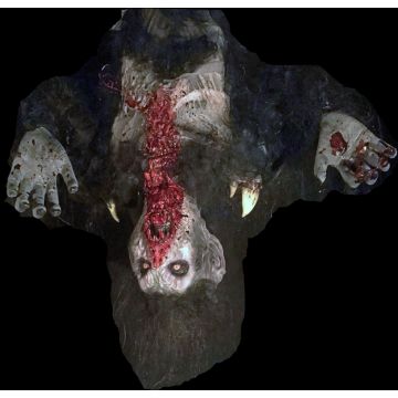 DROPPING VAMPIRE - DV1323