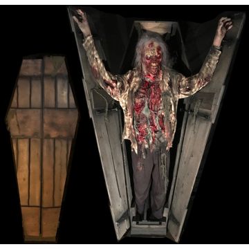 Split Coffin Zombie - SCZ1217