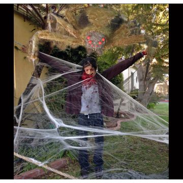 Spider Food - SF705