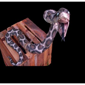 Snake Crate - SN101