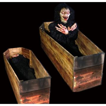 Vampire Coffin - VC703