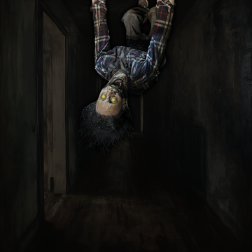 Ceiling Dweller