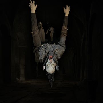 Ceiling Dweller Vampire