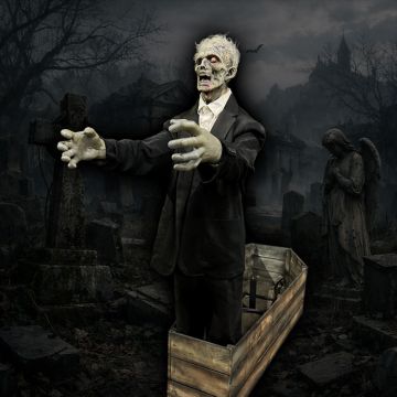 Coffin Riser