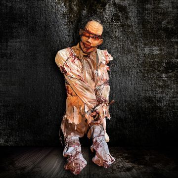 Mummified in Barbed Wire
