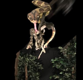 Snakes Drop - SD1129