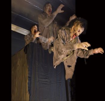 TORSO DROP REACHER - TDR623