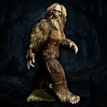 Bigfoot Display
