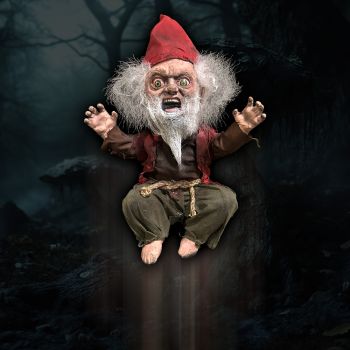Gnome Attack