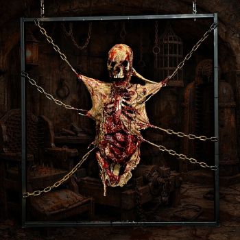 Stretched Tight Torso