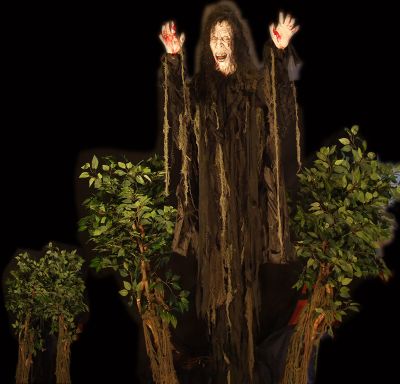 Witch Tree Lunger - WBL701