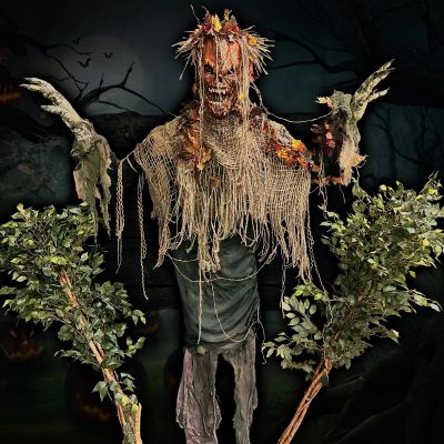 Pumpkin King Lunger