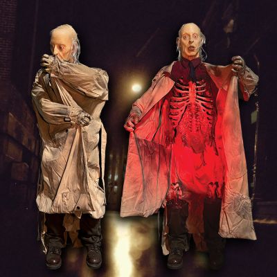 The Flasher