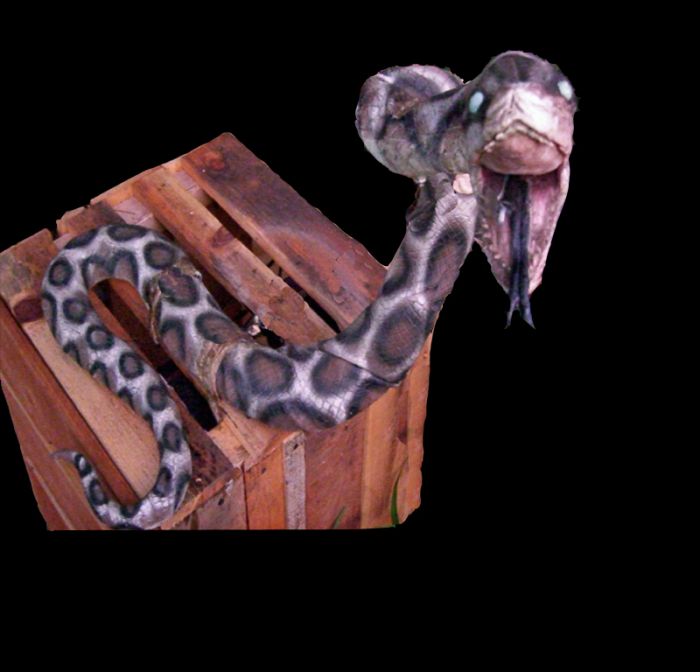 Snake Crate - SN101 Snake Crate - SN101
