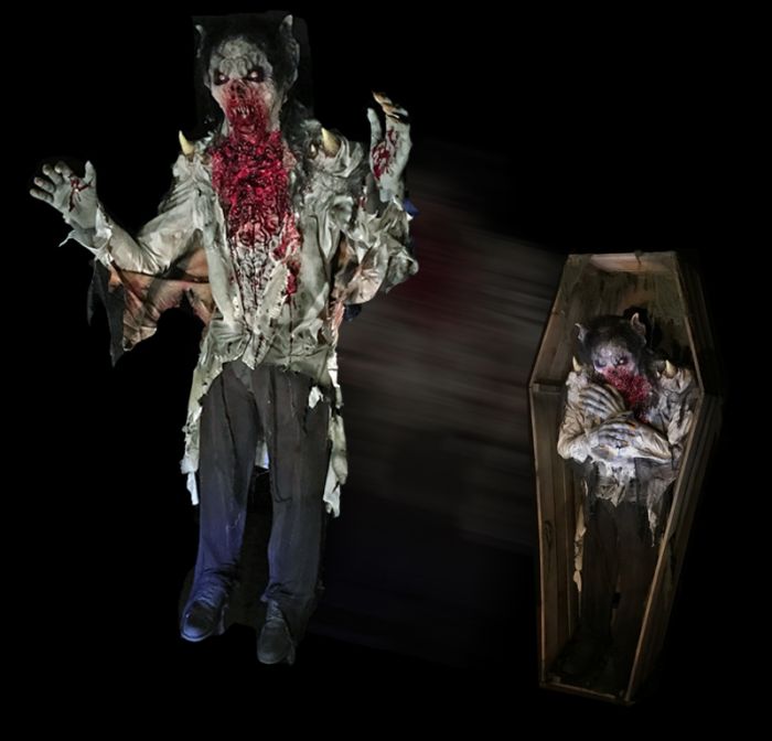 Vampire Coffin Jumper-VCJ1013 Vampire Coffin Jumper-VCJ1013