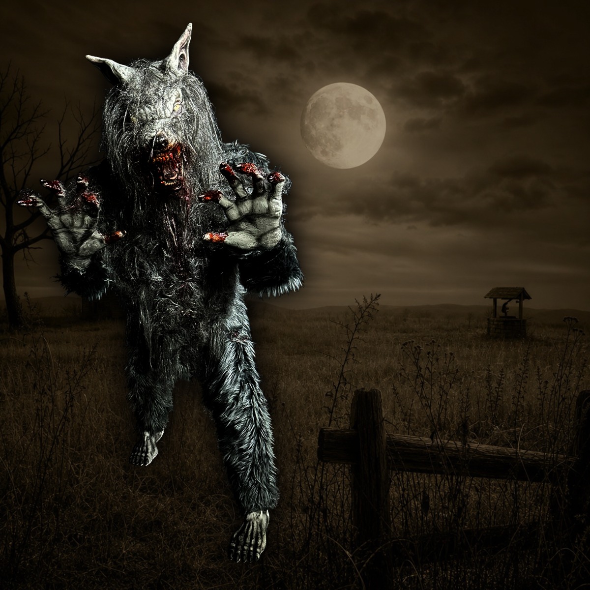 Werewolf Reacher