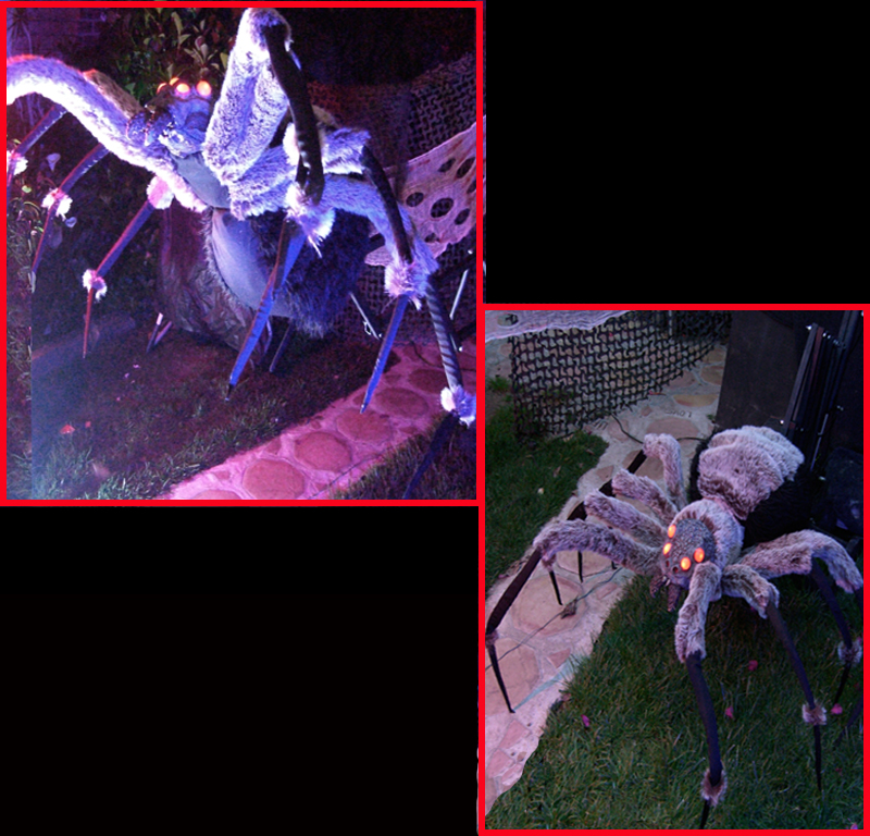WHITE GREY ANIMATED GIANT ATTACKING JUMPING SPIDER HALLOWEEN PROP LUNGES at U 